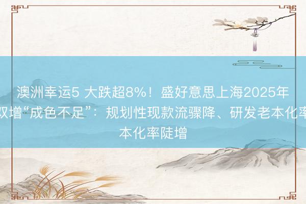 澳洲幸運5 大跌超8%!盛好意思上海2025年牟利雙增“成色不足”:規劃性現款流驟降、研發老本化率陡增